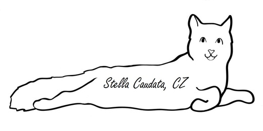 Stella Caudata, CZ